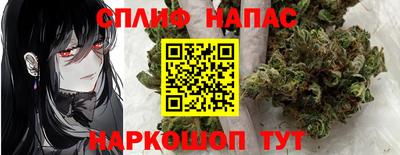 МДПВ Аша